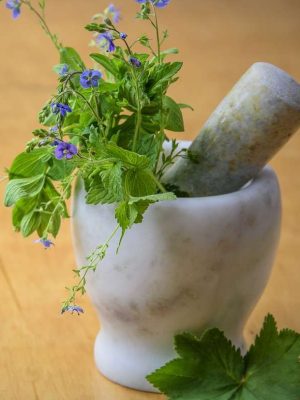 natural medicine, herbs from the meadow, nature